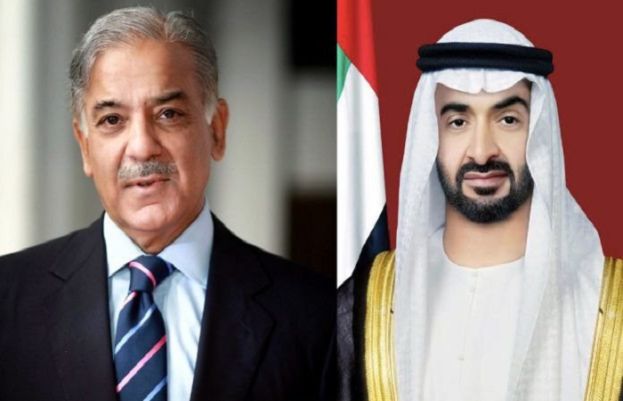 PM, UAE president discuss need to boost energy sector cooperation