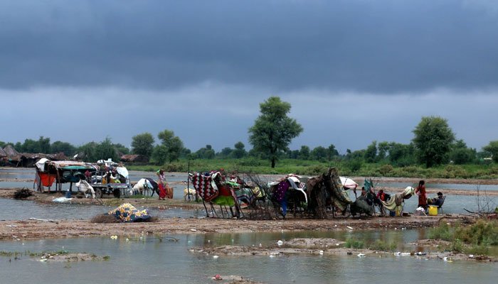 Displaced people live in makeshift shelters on submerged land in Sanghar, Sindh. — AFP