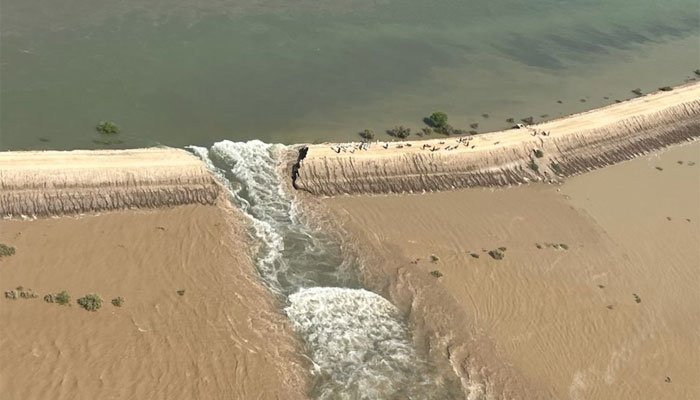 An aerial view of a breach made at the embankment of Manchhar Lake. — Twitter