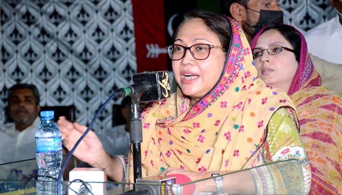 PPP MPA Faryal Talpur addressing a party gathering in this undated photo. — APP