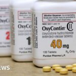 Sackler family wins immunity from opioid lawsuits